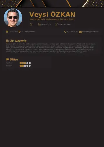 Mekatronik Mühendisliği Cv Örnekleri cv indir